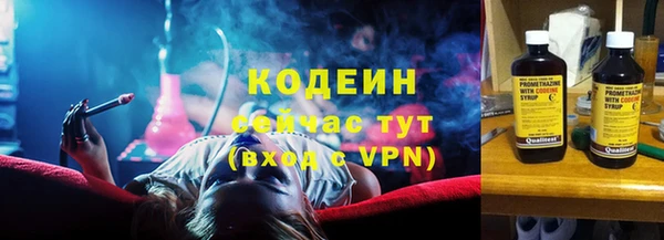 амф Горняк