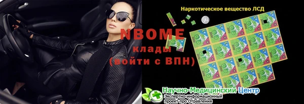 амф Горняк