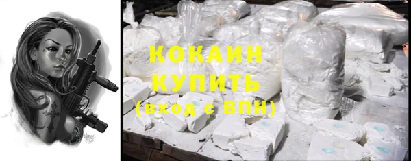 амф Горняк