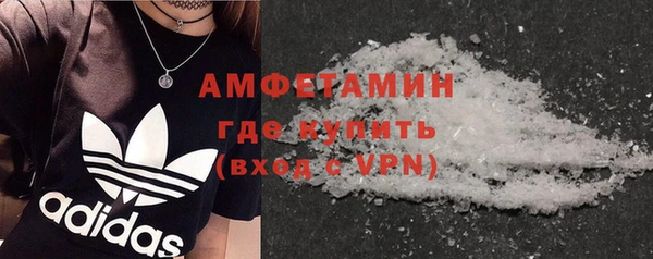 амф Горняк