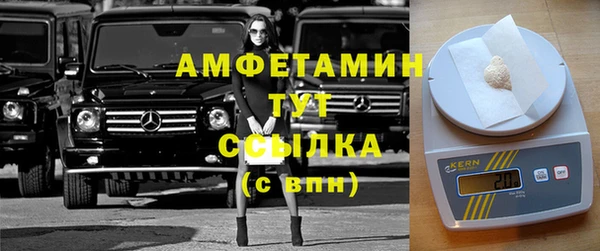 амф Горняк