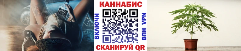 Шишки марихуана VHQ  Купить закладки  Обоянь 